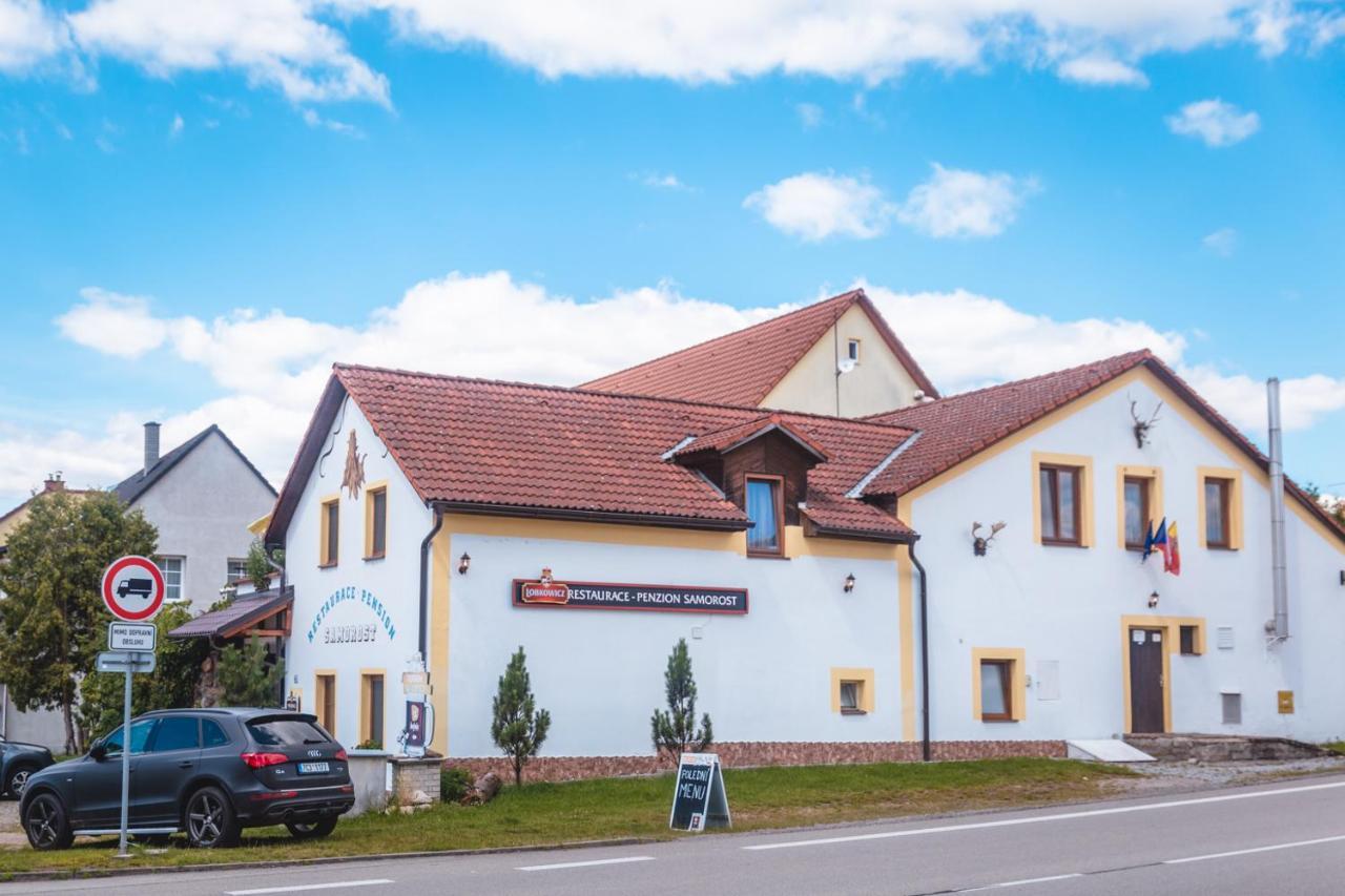 Penzion Samorost Jarosov nad Nezarkou Exterior foto