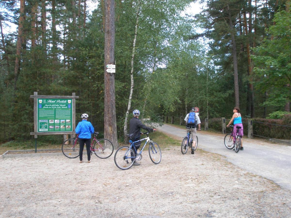 Penzion Samorost Jarosov nad Nezarkou Exterior foto